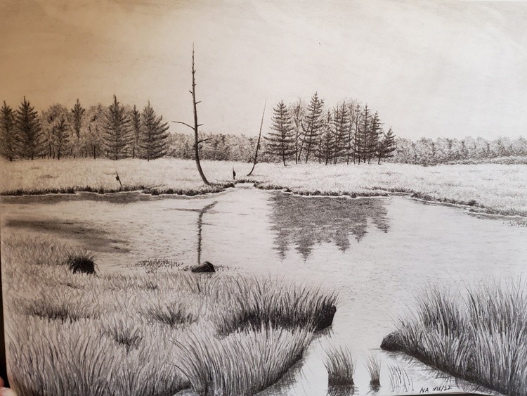 Marsh