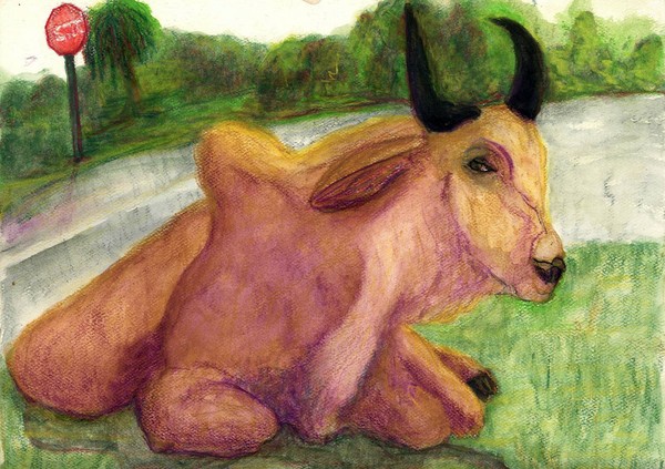 Brahma