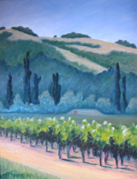 Chateau St. Jean vines #2