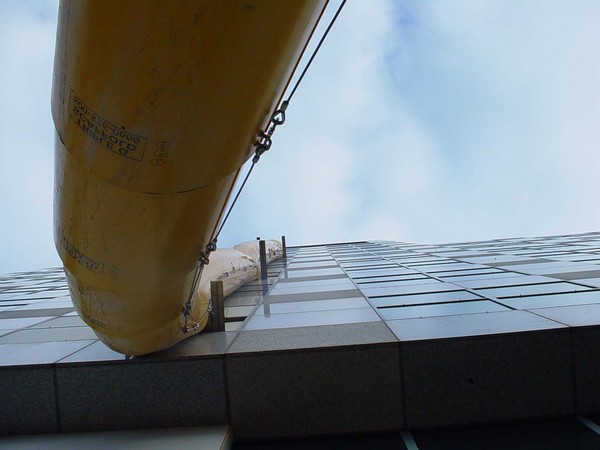 View from below