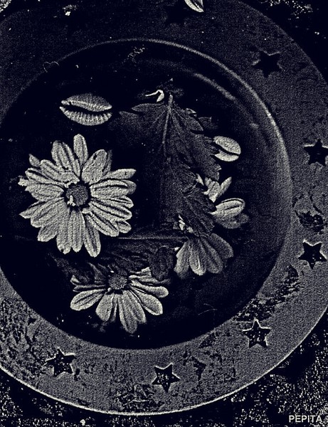 Pepitas Oriental Flowers 2