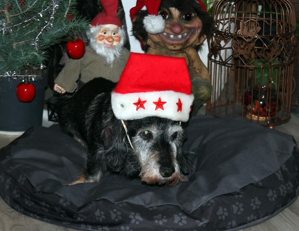 Our beloved Santa Claus Mita