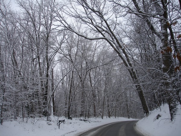 Still Winter in Oakland County