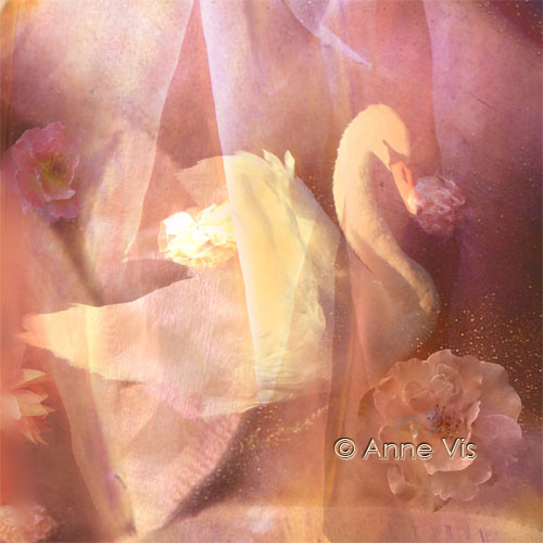 Soft Love