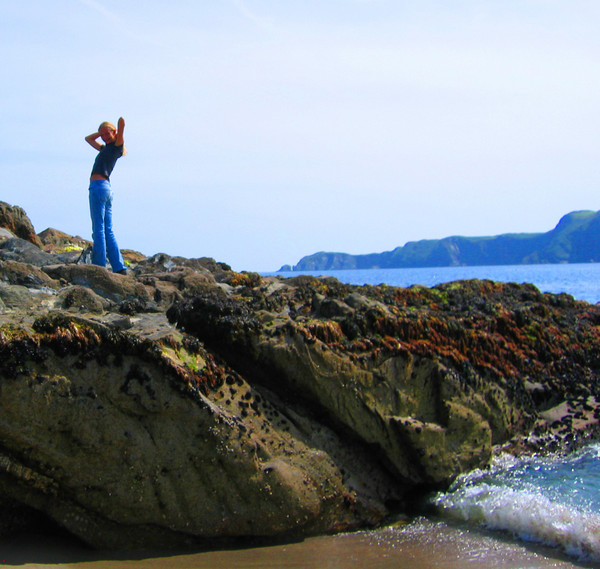 Edited/enhanced me on a rock