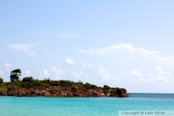 Tropical Paradise