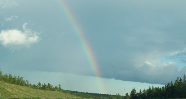 Rainbow