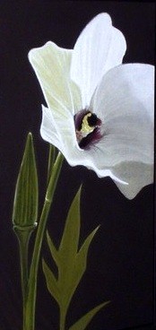 Okra Flower