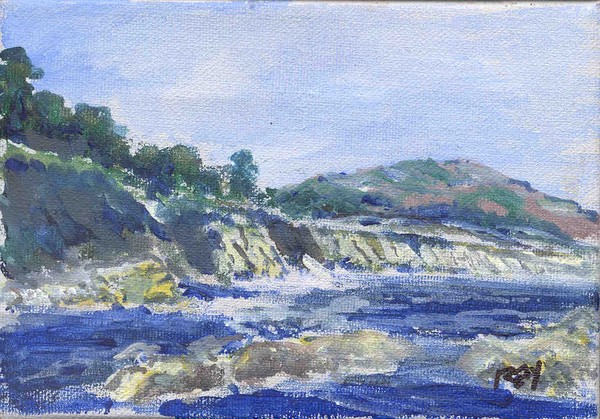 Carp Bluffs 1999