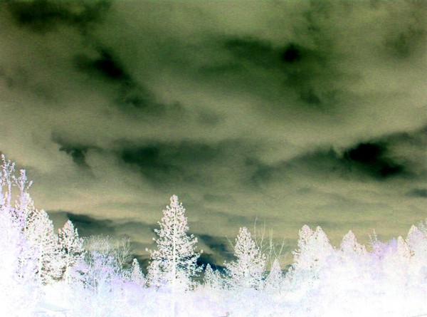 looks like acid rain...