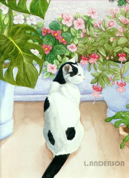 Muffin in the Garden