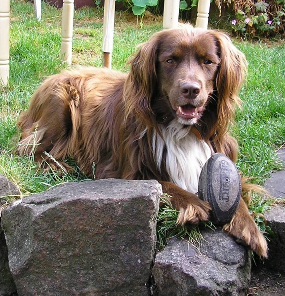 Lets Play Ball