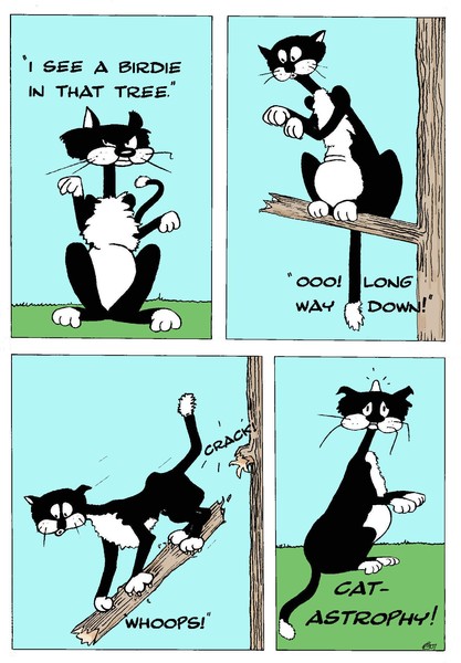 CATastrophe!