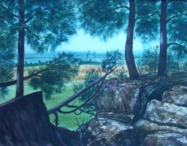Niagra Escarpment, Mount Nemo