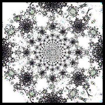 snow flake