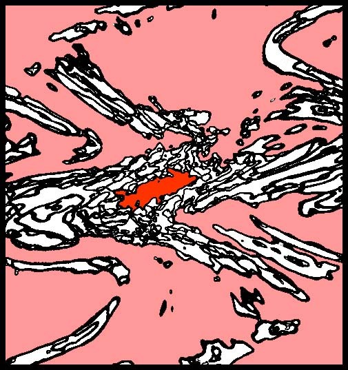 splotch