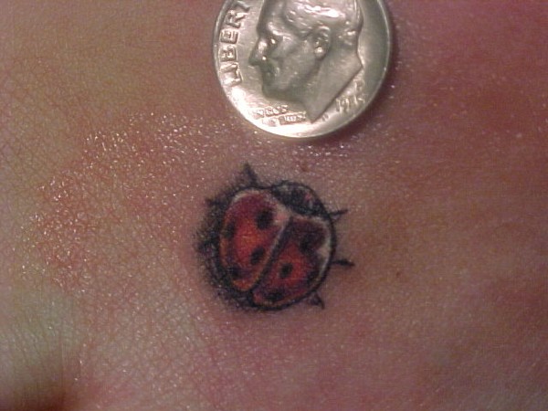 Ladybug