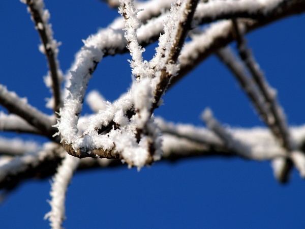 Natures Artwork