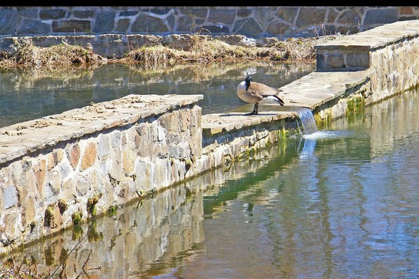 Wall at Winterthur