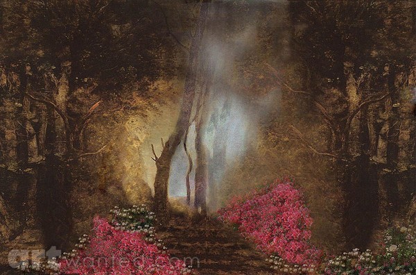 A Clearing