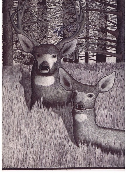 A buck for your doe