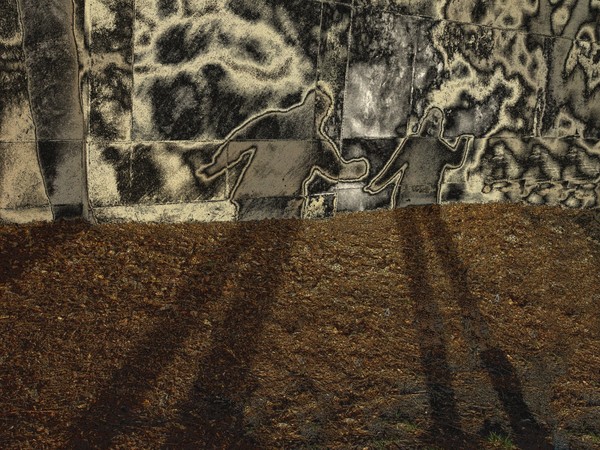 Self Shadow