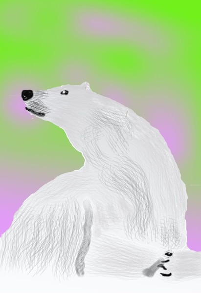 O330 Polar Lights