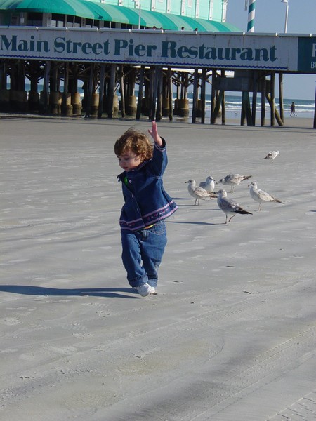 Ocean Freedom!