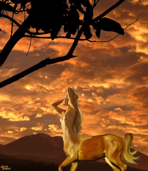 Evening Of Glory