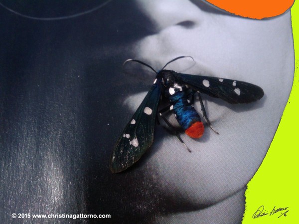 Dont Bug Me 2