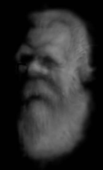 Face of the Giant