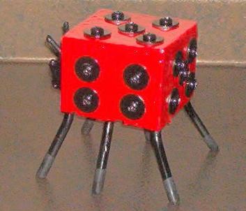 Square Lady Bug 2006