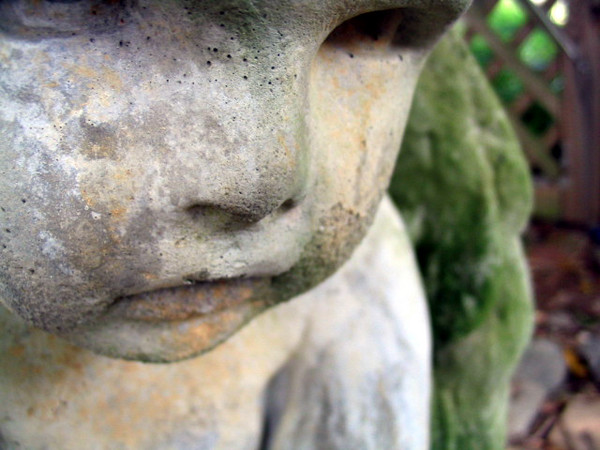 Tears of an Angel II