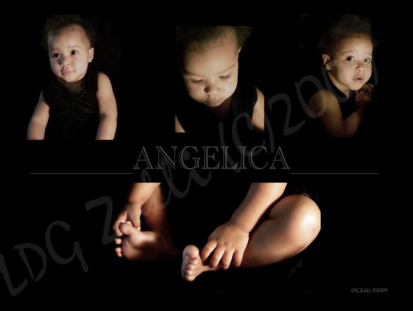 Angelica 20 Comp