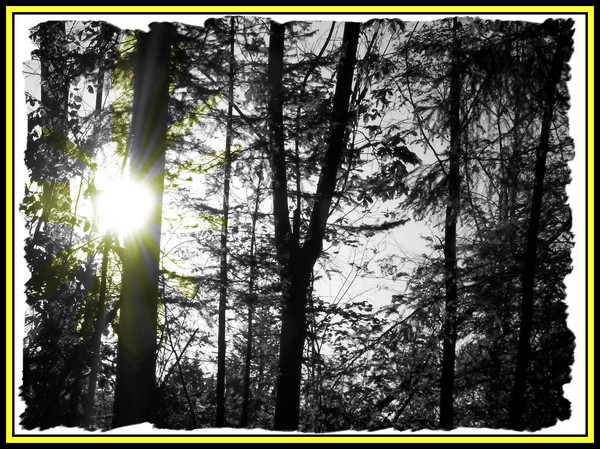 Godlight