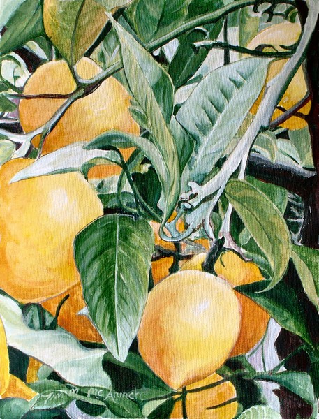 Lemons 4