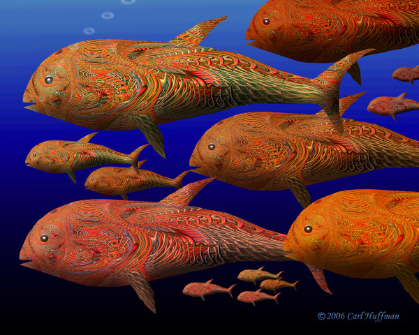 Fish on Patrol