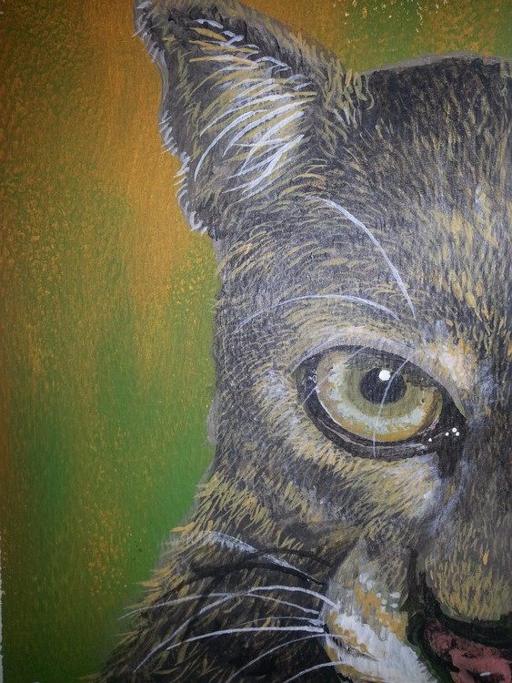 A glimpse of a cougar