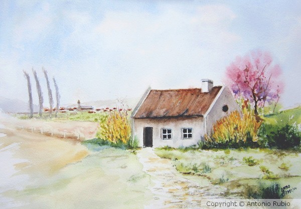 Spring at the countryside