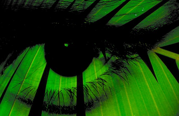 green eye