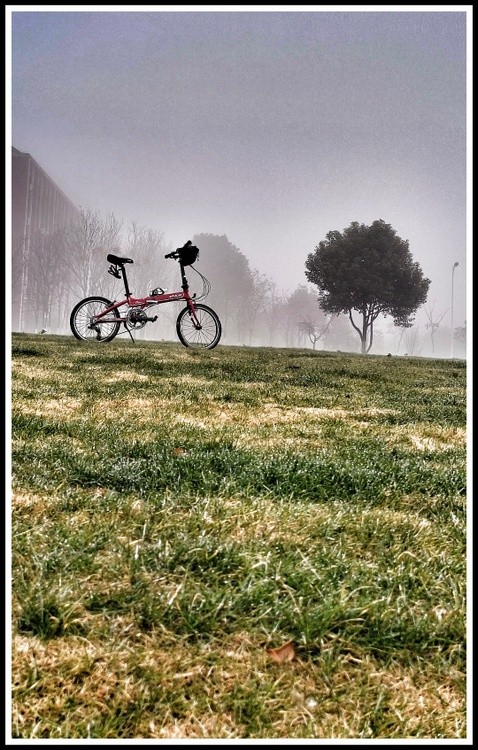 my bicycle