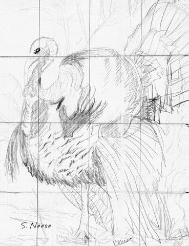 Turkey Sketch