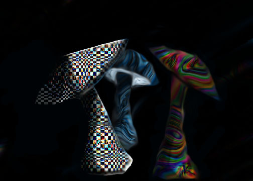 Mushrooms #1