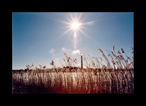 Light