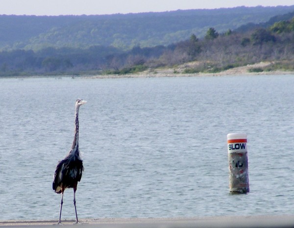 CAUTION .....Slow Crane