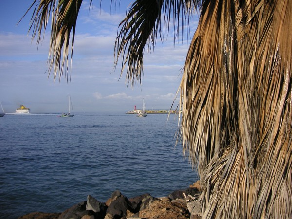 Blue Harbour
