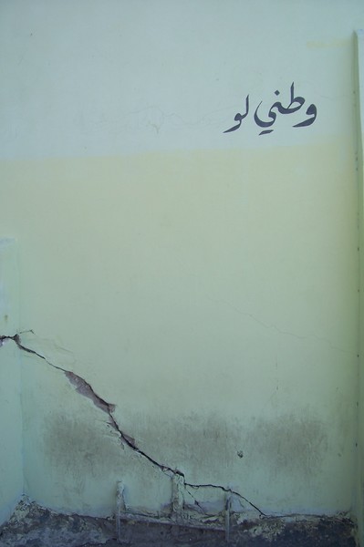 if my homeland...