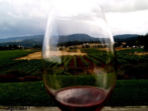 Gift From The Vine