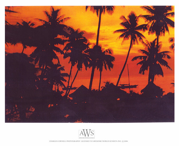 Tropic Splendor