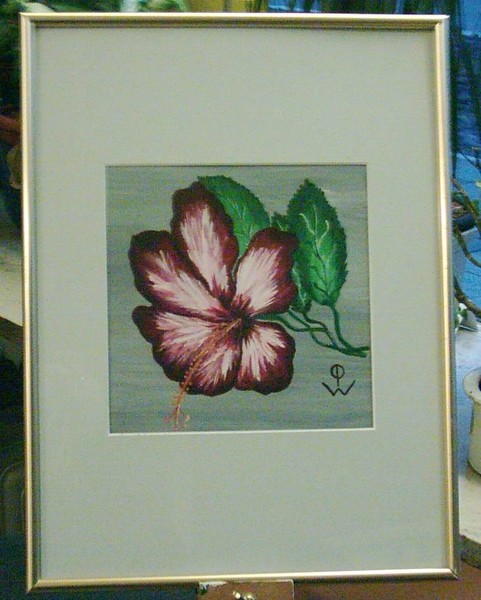 Little Hibiscus
